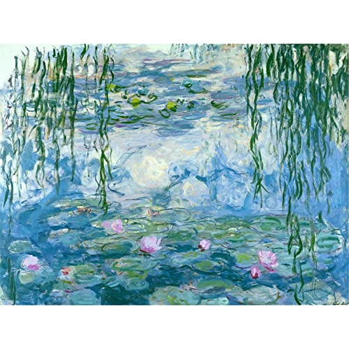 Pintura De Diamantes Claude Monet Lilies Patrón De Mos...