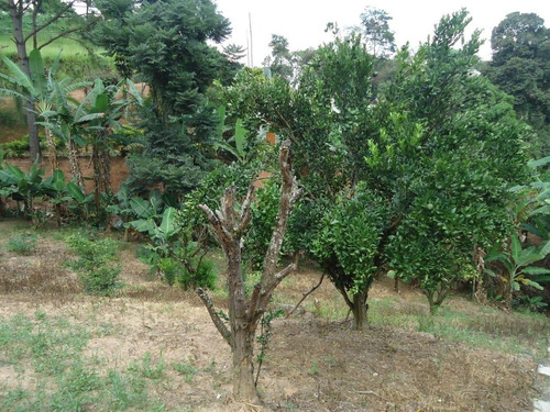 Imagem 4 de 7 de Chácara Para Venda Em Araçariguama, Pousada Dos Bandeirantes, 3 Dormitórios, 2 Banheiros, 10 Vagas - _1-2366708
