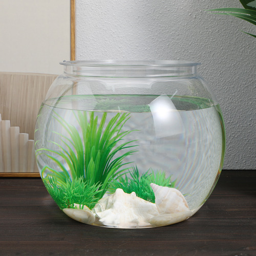 Acuario Redondo Transparente Con Pequeños Recipientes Para P