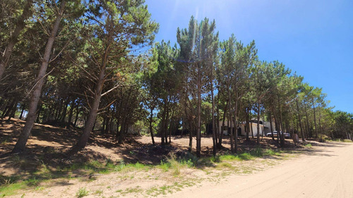 Imagen 16 de 21 de Venta Lote Maritimo Iii - Costa Esmeralda