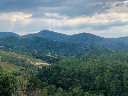Imagem 9 de 9 de Terreno 600 M² Com Área Verde