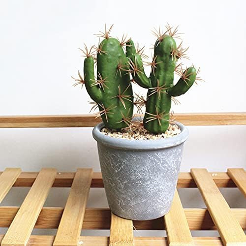 Hinyoco 6 Piezas De Cactus Artificiales, Arreglo De Flores,