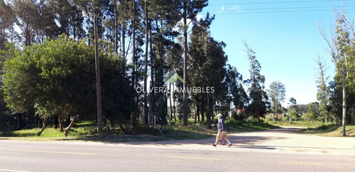 Oportunidad Inversionistas !! Amplio Terreno Esquinero Sobre Av. Gral. Leandro Gómez