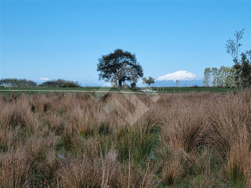 Sitio En Venta En Brisas De Loncotoro, Llanquihue