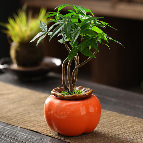 Maceta De Caqui, Florero, Estatuilla Decorativa, Medio