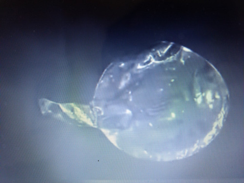100 Globos Burbuja Cristal Transparente P/guirnalda Led 40cm
