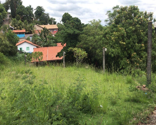 Imagem 8 de 8 de Terreno - Te00895 - 32039243