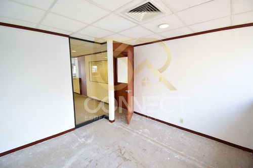 Oficina En Renta En Anzures 22c/3b/1e - Excelente Ubicación - 650m2