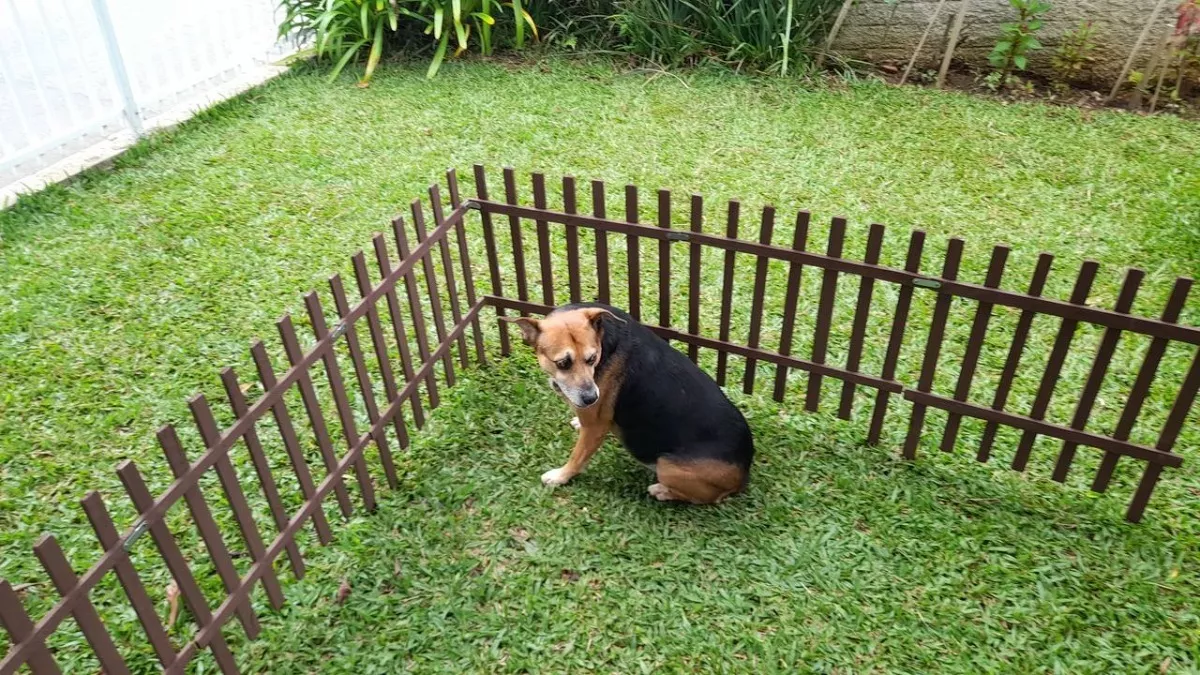 Terceira imagem para pesquisa de cerca madeira