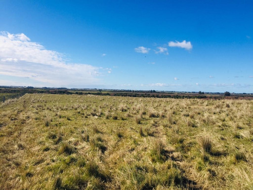 Vendo Campo Sobre Ruta 39 A 20 Minutos De Punta Del Este