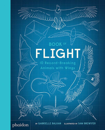 Book Of Flight - Gabrielle / Brewster, Sam Balkan