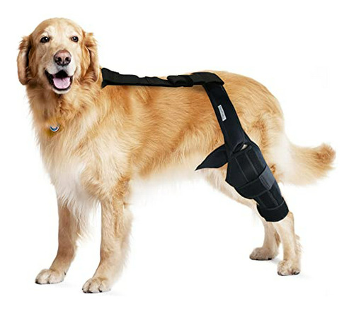 Protector Rodilla Perro, Talla L