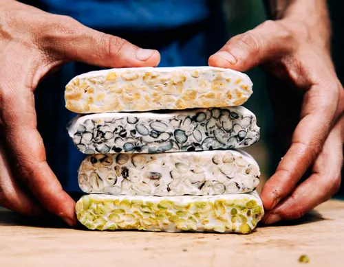 Tempeh Hongo Comestible Rhizopus Oligosporus Proteina Vegana