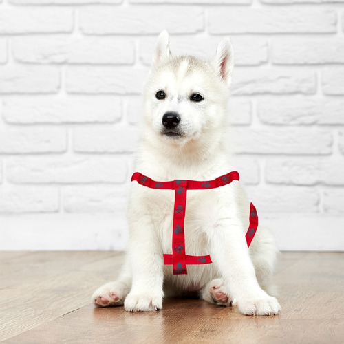 Arnés De Seguridad Pechera Ajustable Para Perros Medianos