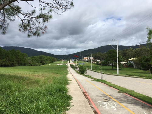 Imagem 4 de 12 de Terreno Em São João Do Rio Vermelho, Florianópolis/sc De 418m² À Venda Por R$ 330.000,00 - Te1973518-s