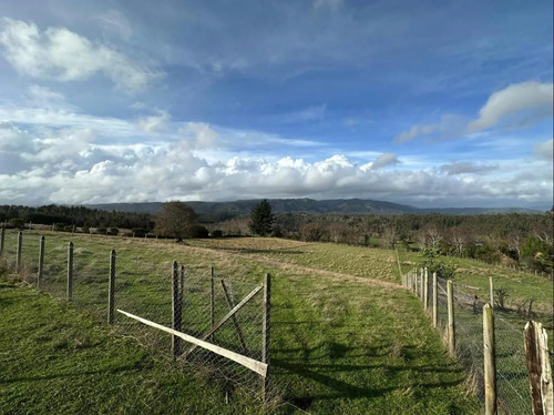 Terreno De 5000 M2 En Cañete, Tranquilidad Y Proyección