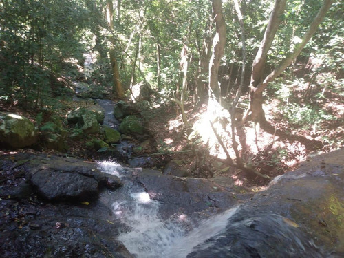 Imagem 2 de 15 de Chácara Para Venda Em Igrejinha, Voluntária Baixa - Cwvcr0133_2-1400751