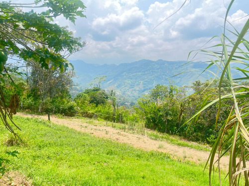 Hermosa Finca Terreno Lote Plano En La Vega