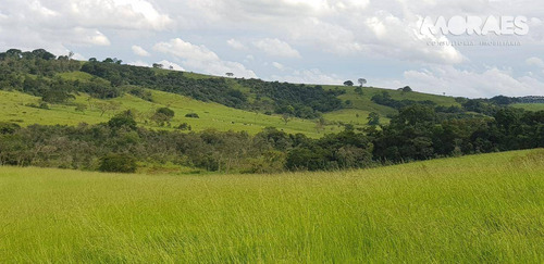 Imagem 12 de 26 de Fazenda Rural À Venda, Zona Rural, Garça. - Fa0003