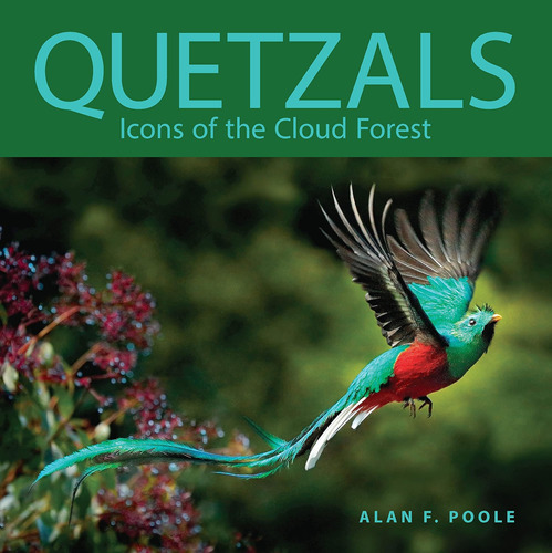 Libro: Quetzals: Icons Of The Cloud Forest (zona Tropical