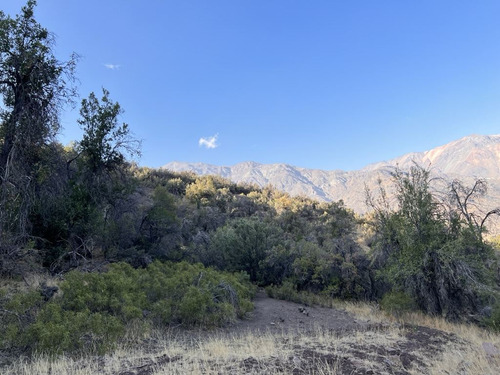 Parcela En Venta En San Francisco De Los Andes