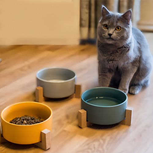 Plato Para Perros Y Gatos De Cerámica Con Base De Bambú Color Blanco