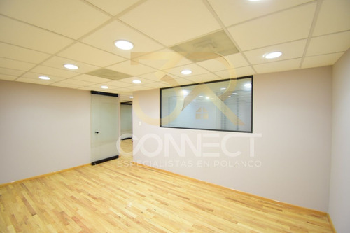 Oficina En Renta En Anzures 15c/3b/1e - Excelente Ubicación - 450m2