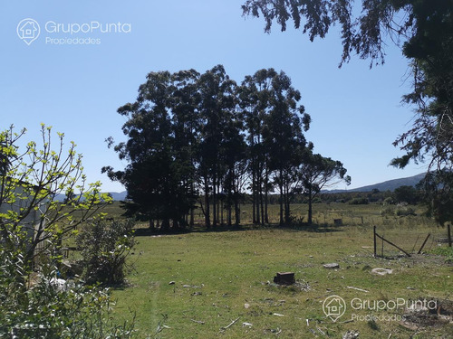 Chacra En Venta - Alquiler Anual En Cerros Azules -piriapolis