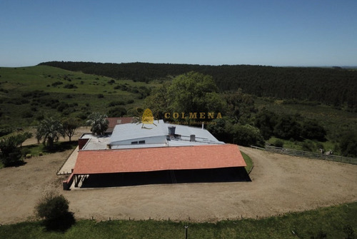 Estancia De 38 Has Con Salon De Fiestas, Cuenta Con Suelo Óptimo Para Plantación De Olivos Y Vid. Consulte!!!!!!!!-ref:2417