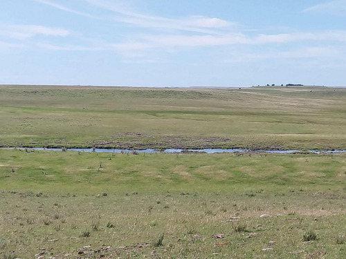 Excelente Estancia Ganadera 2881 Hectareas