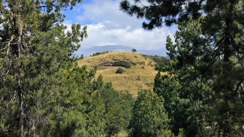 Hermosa Parcela En Venta, Palena, Región De Los Lagos