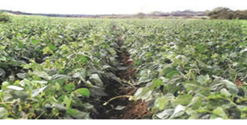 Finca Agropecuaria En Venta