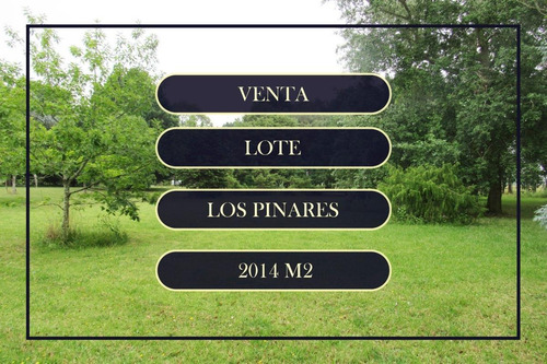 Imagen 2 de 4 de Venta Lote Los Pinares Santa Clara
