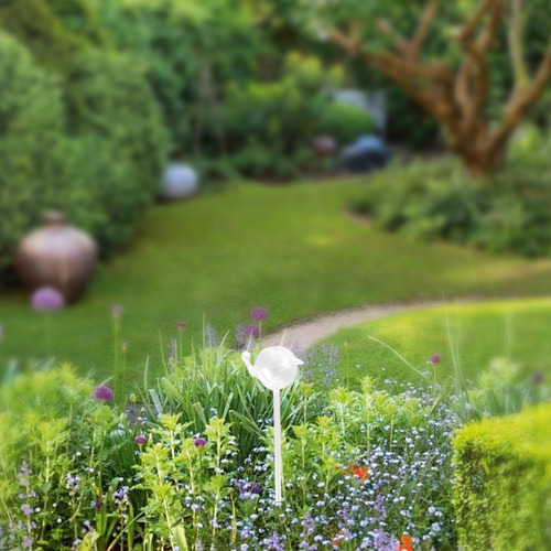 Globo De Riego De Plantas, De Goteo, Caracol 10x22cm