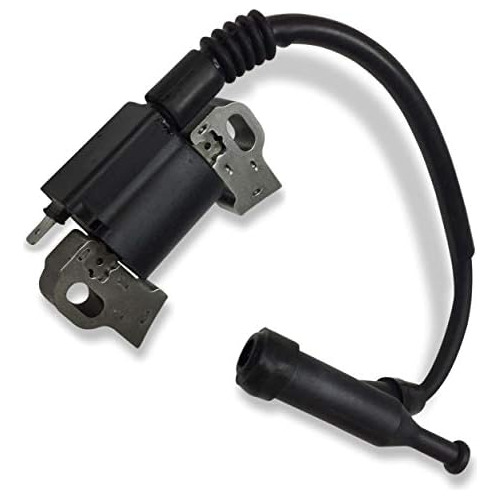 Módulo De Bobina De Encendido 797769 Compatible Motor ...