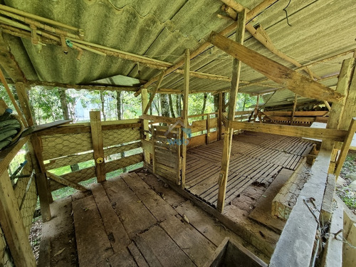 Imagem 30 de 30 de Linda Chacará Com Mais De 36.000 M², Situada Na Cidade De Quitandinha, Paraná. - Ch00019 - 70570203