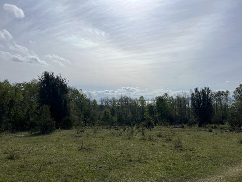  Exclusivo Loteo Con Vistas Panorámicas En Pucón!