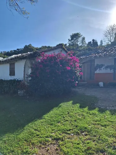 Vendo Finca En Guarne, Vereda La Batea