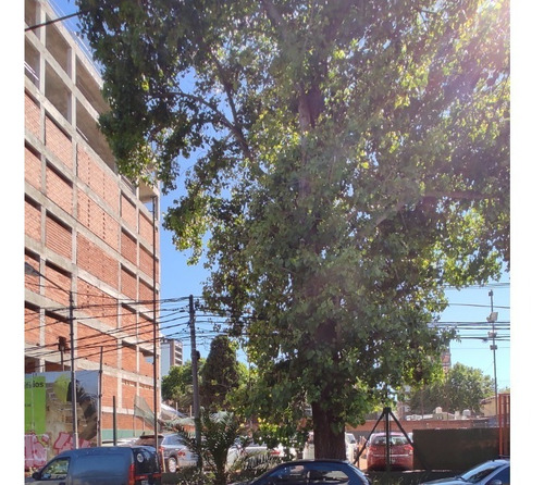 Compron Propiedades, Solo Caba, Compro Sucesiones, Indivisos, Herencias, Ocupadas, Sucesiones, Compro Inmuebles, Compro Propiedades Con Problemas