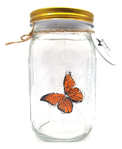 Colección Simulation Butterfly En Un Tarro, Butterfly Jar Th