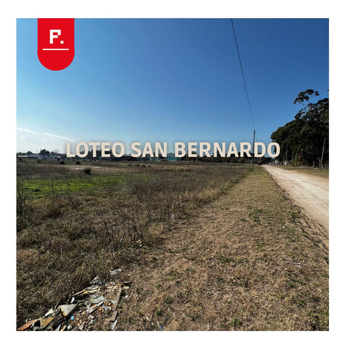 Loteo En San Bernardo