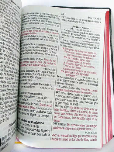 Imagen 8 de 10 de Biblia Reina-valera 1960 Letra Gigante Vinil Color Vino