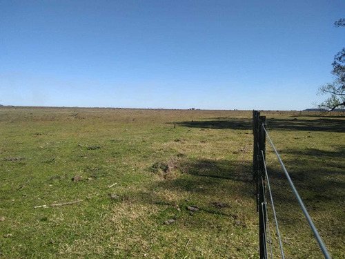 Vendo Campo De 226 Ha
