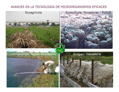 Sustrato Organico Profesional Madre Tierra X 25 Cm