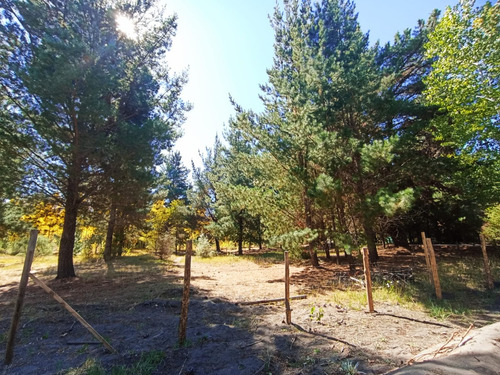 Venta Sitio Proyecto El Arrayan Camino Unihue Talcamavida