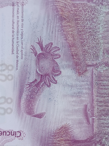 Billete Error De Impresión Ajolote