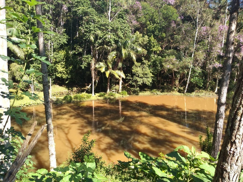 Imagem 8 de 30 de Sítio À Venda Em Juquitiba - 423 - 33815443