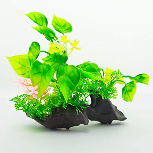 Plantas Acuáticas Decorativas Para Acuario: Verde, Betta