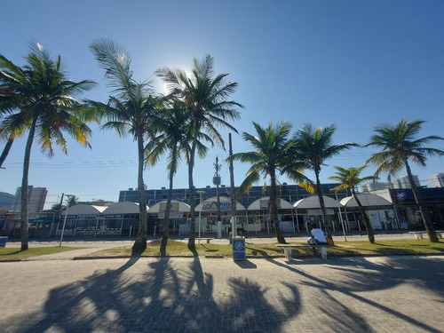 Imagem 9 de 10 de Terreno Na Quadra Da Praia. Excelente Opção De Investimento!! - Te0800