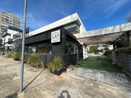 Imagen 10 de 11 de Alquiler Anual- Amplio Local- Peninsula- Ref: 4494990